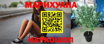 прущие крисы Будённовск